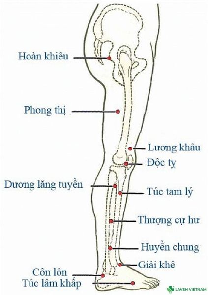Bộ tranh huyệt đạo do Bộ Y tế ban hành – tài liệu chuẩn cho người dùng máy cứu ngải