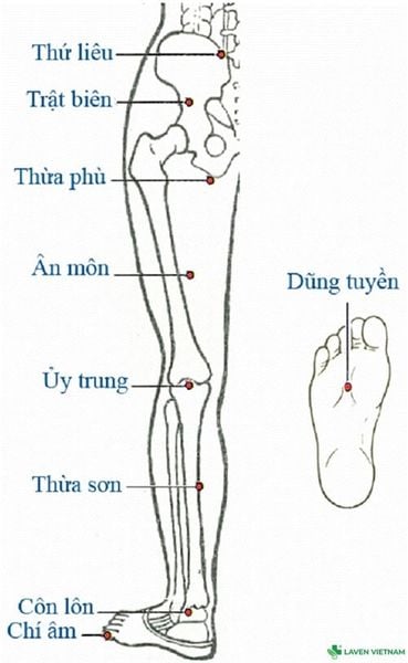 Bộ tranh huyệt đạo do Bộ Y tế ban hành – tài liệu chuẩn cho người dùng máy cứu ngải