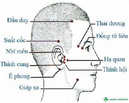 Bộ tranh huyệt đạo do Bộ Y tế ban hành – tài liệu chuẩn cho người dùng máy cứu ngải