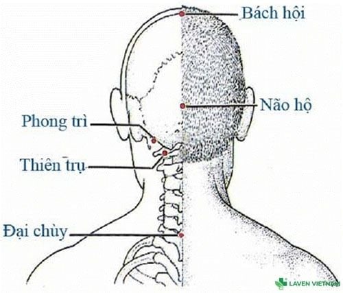 Bộ tranh huyệt đạo do Bộ Y tế ban hành – tài liệu chuẩn cho người dùng máy cứu ngải