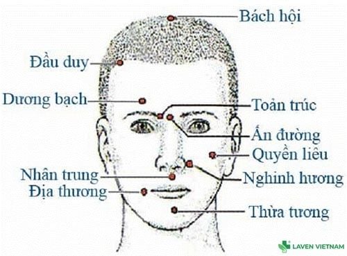 Bộ tranh huyệt đạo do Bộ Y tế ban hành – tài liệu chuẩn cho người dùng máy cứu ngải
