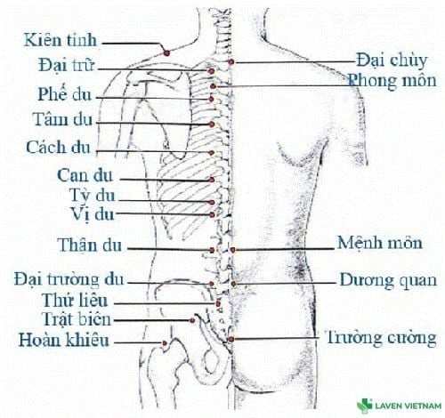Bộ tranh huyệt đạo do Bộ Y tế ban hành – tài liệu chuẩn cho người dùng máy cứu ngải