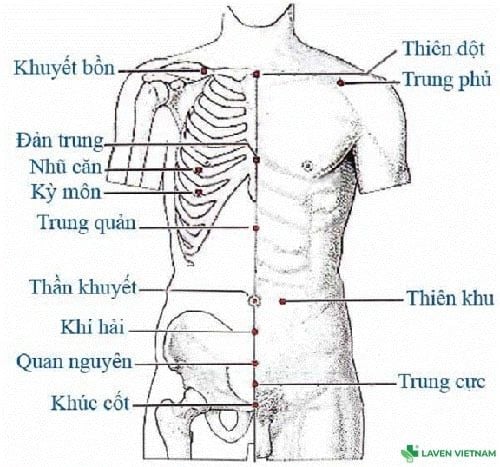 Bộ tranh huyệt đạo do Bộ Y tế ban hành – tài liệu chuẩn cho người dùng máy cứu ngải