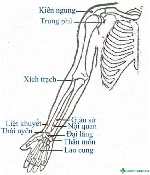 Bộ tranh huyệt đạo do Bộ Y tế ban hành – tài liệu chuẩn cho người dùng máy cứu ngải