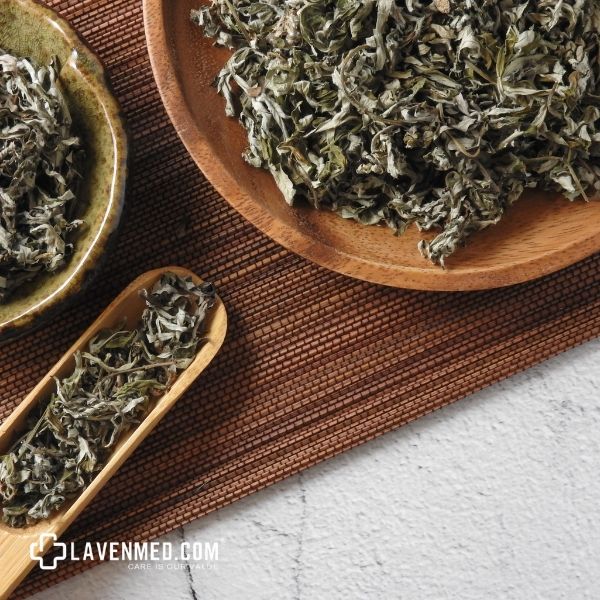 Ngải cứu có tính ấm, vị hơi đắng và mùi nồng hắc, làm cho nó trở thành một dược liệu tuyệt vời trong việc chữa trị bệnh.