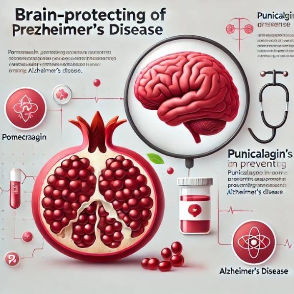 Lựu bảo vệ sức khỏe não bộ - Ngăn ngừa bệnh Alzheimer