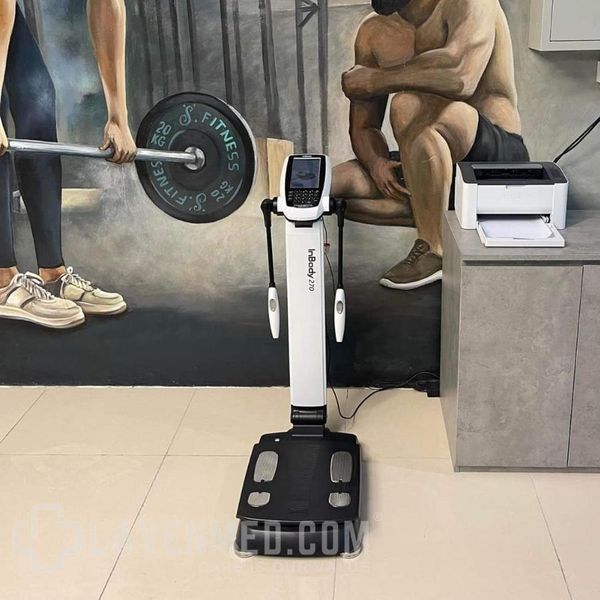 Thiết kế chuyên nghiệp cho các phòng gym hoặc trung tâm chăm sóc sức khỏe