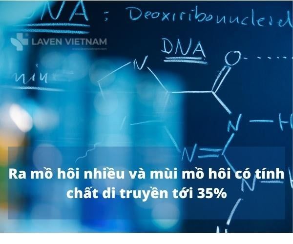 Mùi mồ hôi có tính di truyền​