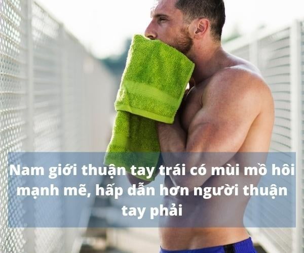 Nam giới thuận tay trái có mùi mồ hôi nam tính, hấp dẫn hơn người thuận tay phải