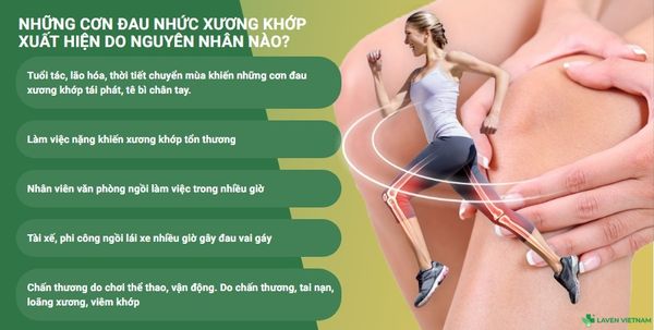 Trong những năm gần đây, máy cứu ngải Maxonga – sản phẩm sáng chế y học truyền thống từ Hải Phòng – đã dần khẳng định vị thế của mình như một giải pháp trị liệu không xâm lấn được nhiều người bệnh lựa chọn.