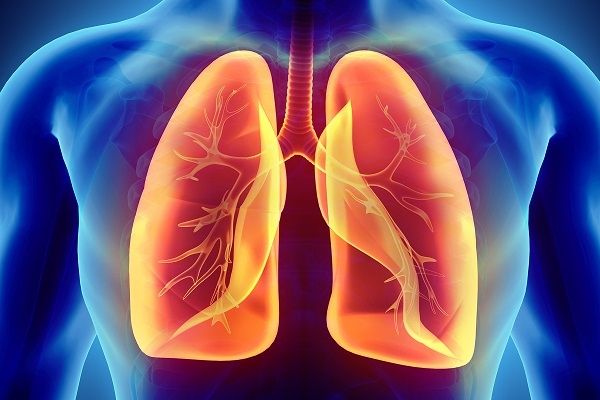 Tế bào gốc bất thường làm cơ sở cho sự tồn tại của COPD