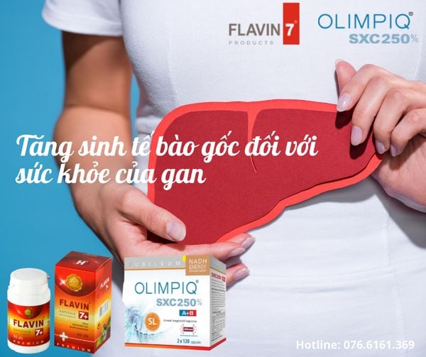 Tăng sinh tế bào gốc bảo vệ gan, thận và phòng chống - hỗ trợ điều trị các bệnh mãn tính