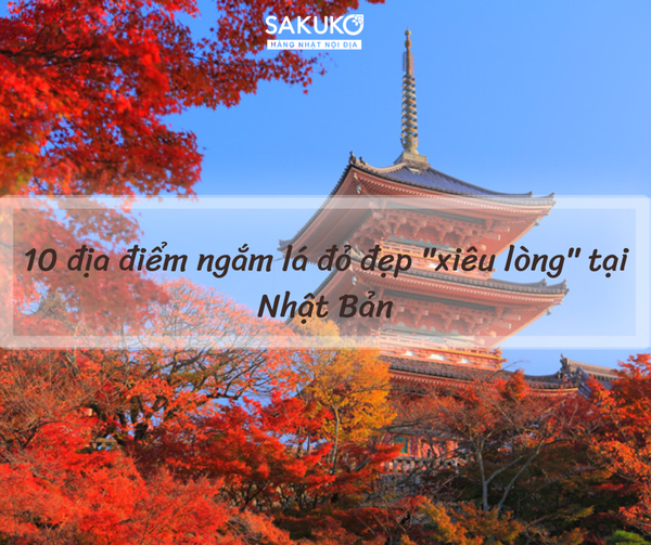 10 điểm ngắm lá đỏ đẹp 