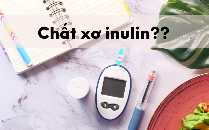 Mối liên hệ Inulin và Insulin đối với người bệnh tiểu đường