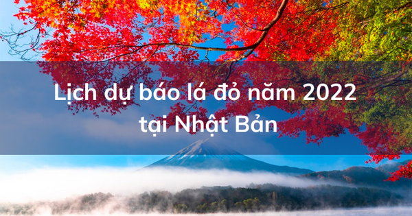 Mùa lá đỏ đã đến - 