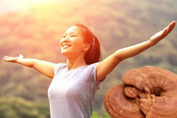 Nấm linh chi và chế độ ăn uống cân đối