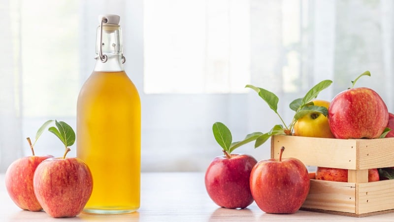 5 lợi ích của giấm táo giảm cân của Nhật cho nàng dáng đẹp