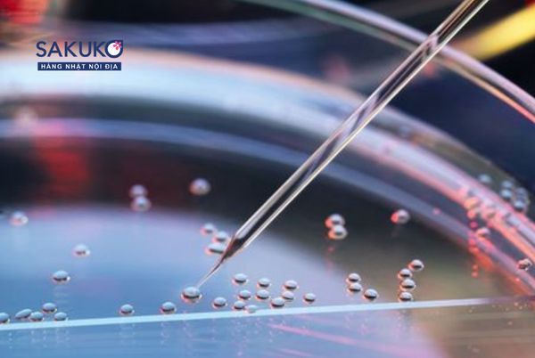 Tế bào gốc và sự thật 