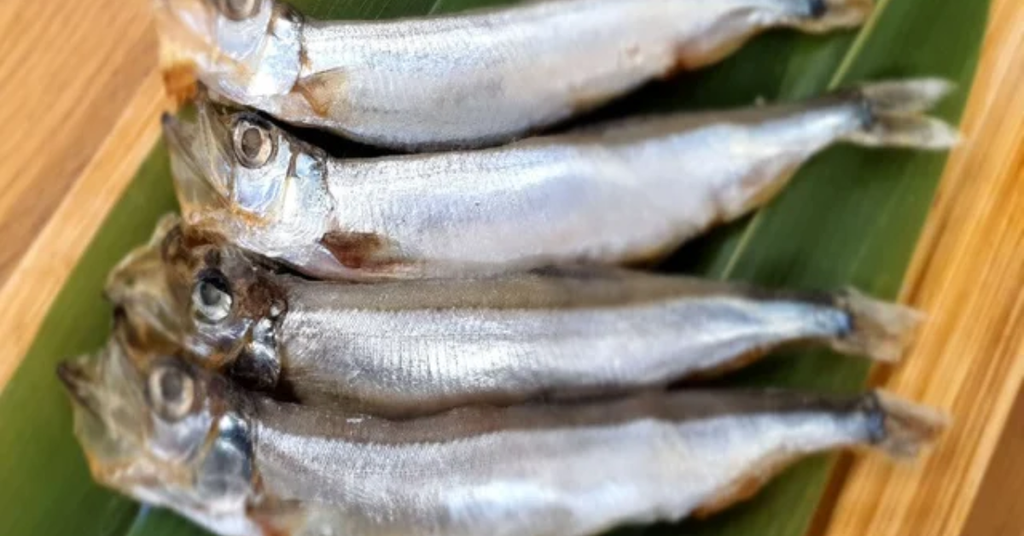 Cá trứng Shishamo KOUKYU