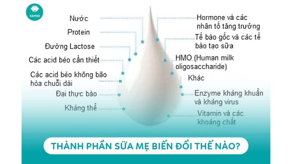 Sữa mẹ chứa nhiều kháng thể, tế bào bạch cầu giúp trẻ tăng miễn dịch hiệu quả