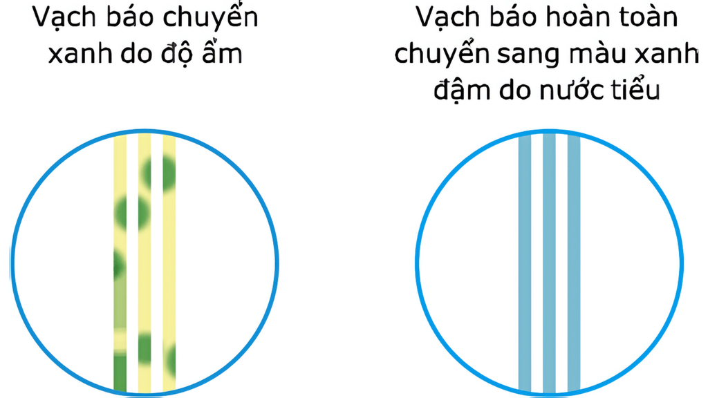 vạch báo đầy bỉm merries