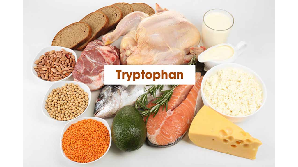 Các thực phẩm giàu Tryptophan hỗ trợ tăng cường sản xuất Serotonin