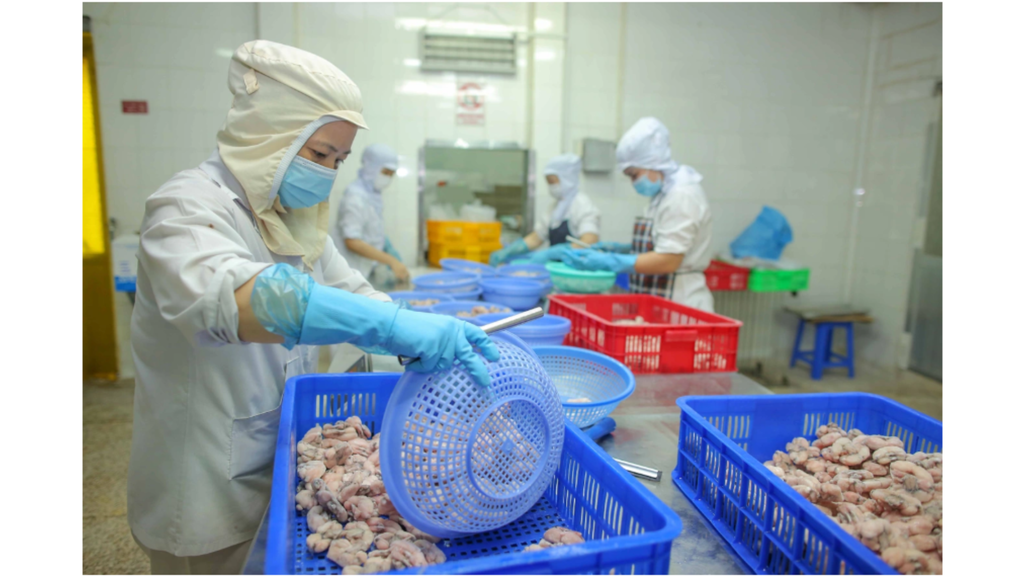 Cá, thịt heo, gà, vịt là những sản phẩm bán chạy trong mùa dịch (Ảnh: Đ.V)