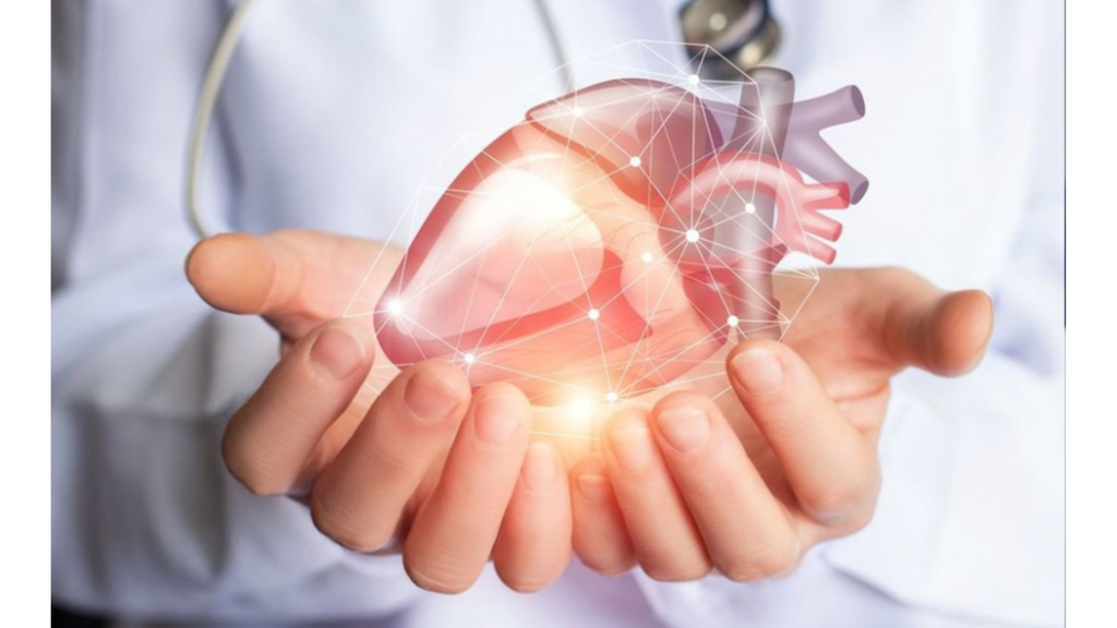 tăng cường sức khỏe tim mạch nhờ linh chi