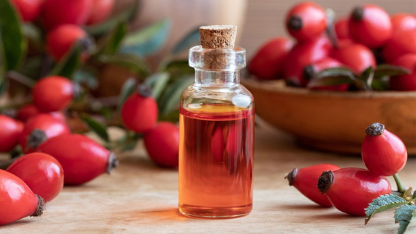 Dầu tầm xuân giúp dưỡng ẩm