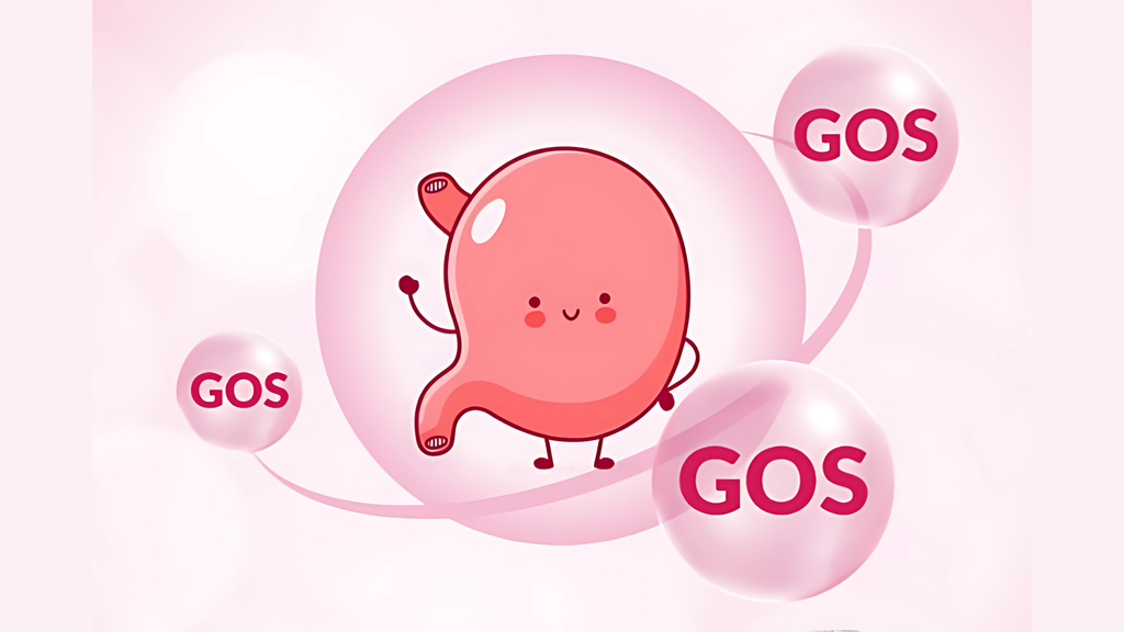 Đường Oligo Galacto trong sữa glico