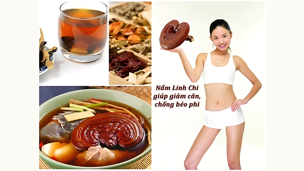 Nấm Linh Chi và hiệu quả trong việc giảm Cân