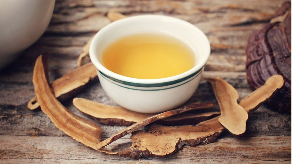 Dùng nước nấm linh chi để uống hằng ngày