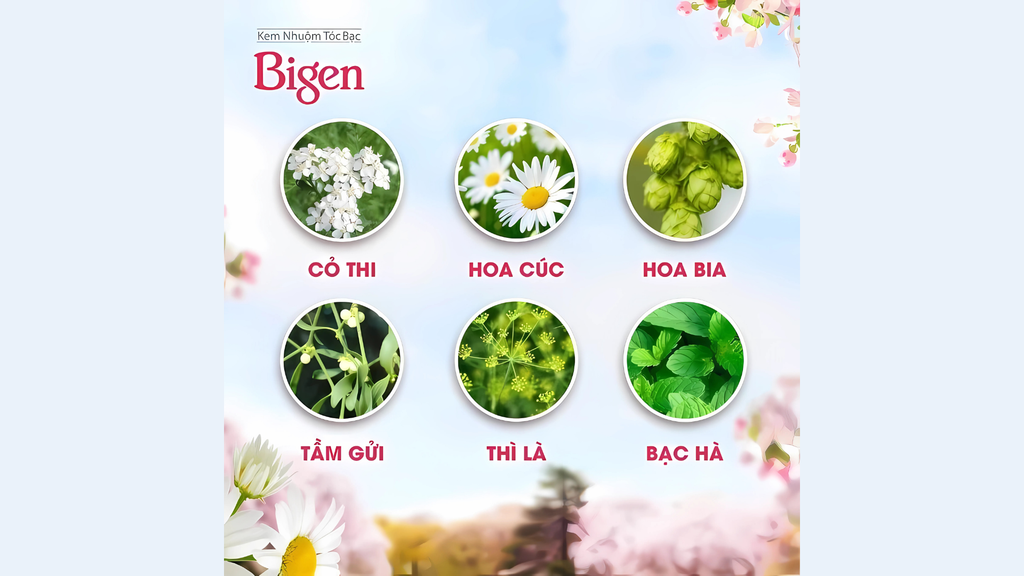 6 loại tinh dầu có trong thuốc nhuộm Bigen