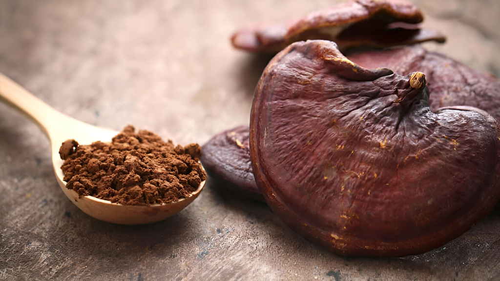Nấm linh chi Chứa thuộc tính chống ung thư