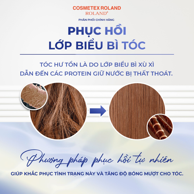 Dầu gội dưỡng tóc suôn mượt SFree 480ml giúp phục hồi hiệu quả lớp biểu bì trên tóc