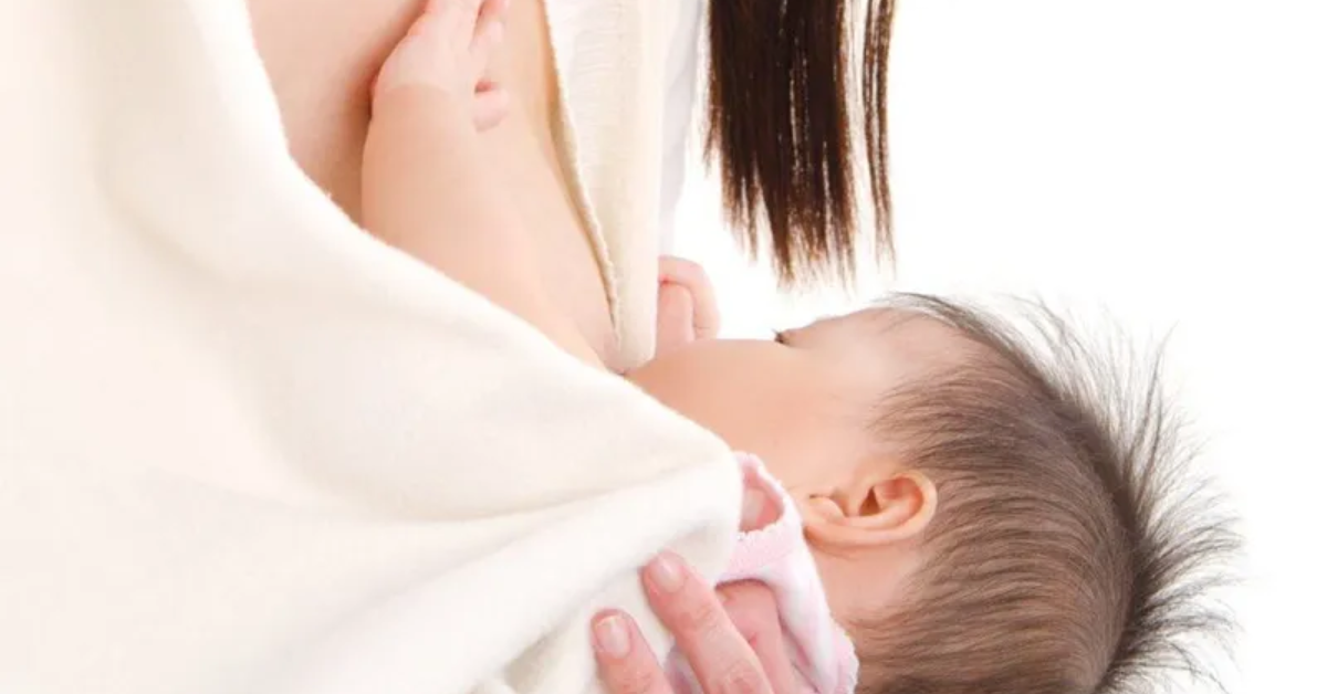 Nâng cao chất lượng sữa mẹ