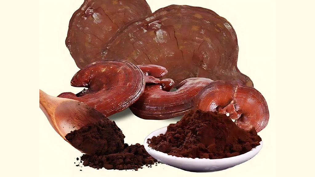Nấm Linh Chi dạng bột