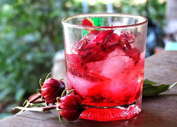 Trà hoa hibiscus (trà atiso đỏ) giảm mỡ máu​​​​​​​