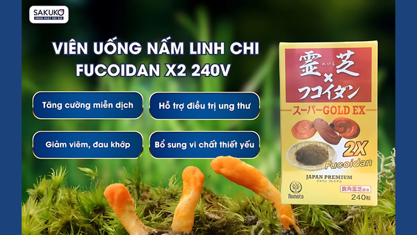 Đặc điểm nổi bật của viên uống Nấm linh chi Fucoidan x2 240 viên