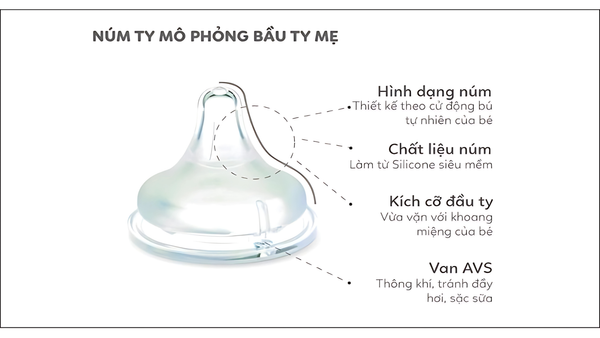 Núm ti mô phỏng đầu ti mẹ giúp bé dễ dàng làm quen khi chuyển từ bú mẹ sang bú bình