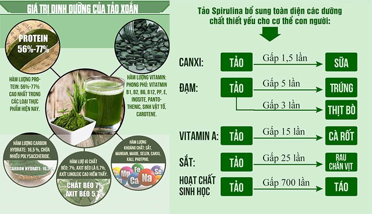 Thành phần của Tảo xoắn Spirulina