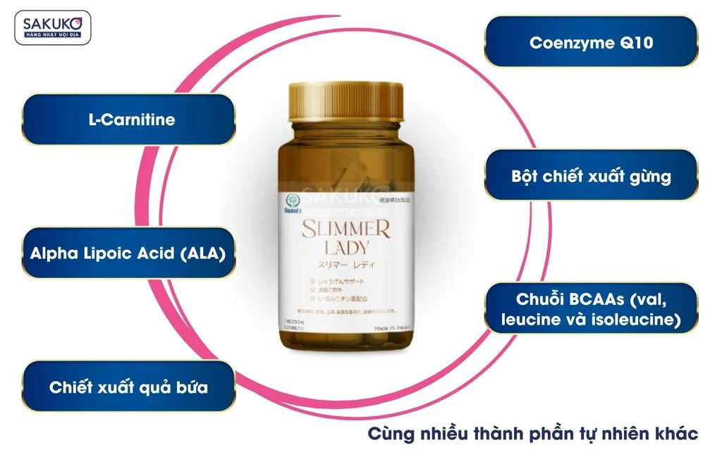 Thành phần chính trong 1 viên Slimmer Lady