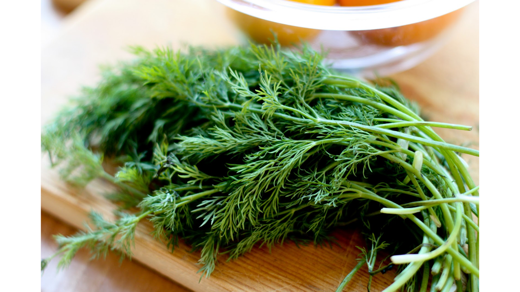Thì là (Fennel)