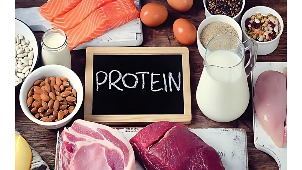 Protein có nhiều trong thịt, cá, tôm và các loại đậu
