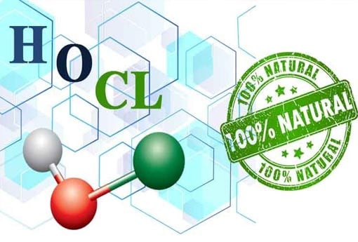 Hypochlorous acid (HOCL) được tạo ra tự nhiên