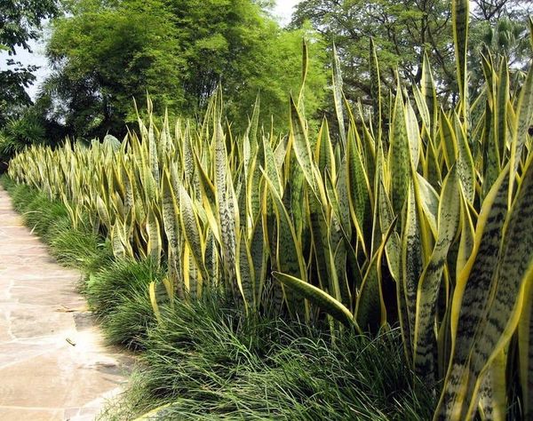 cách hóa giải hướng nhà xấu lục sát