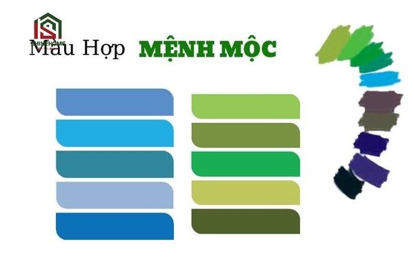 mệnh mộc hợp màu gì