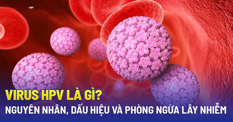 HPV virus