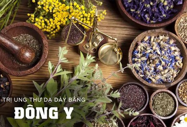 Có nên sử dụng thuốc nam trị ung thư dạ dày?
