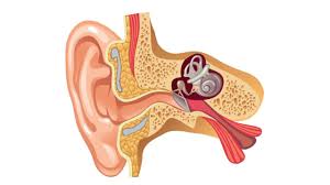 Xốp xơ tai gây mất thính lực: Cách phát hiện và điều trị